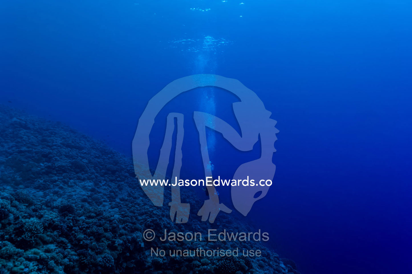 A scuba diver releases bubbles from the depths above a coral reef. Makatea Atoll, Tuamotu Archipelago, French Polynesia