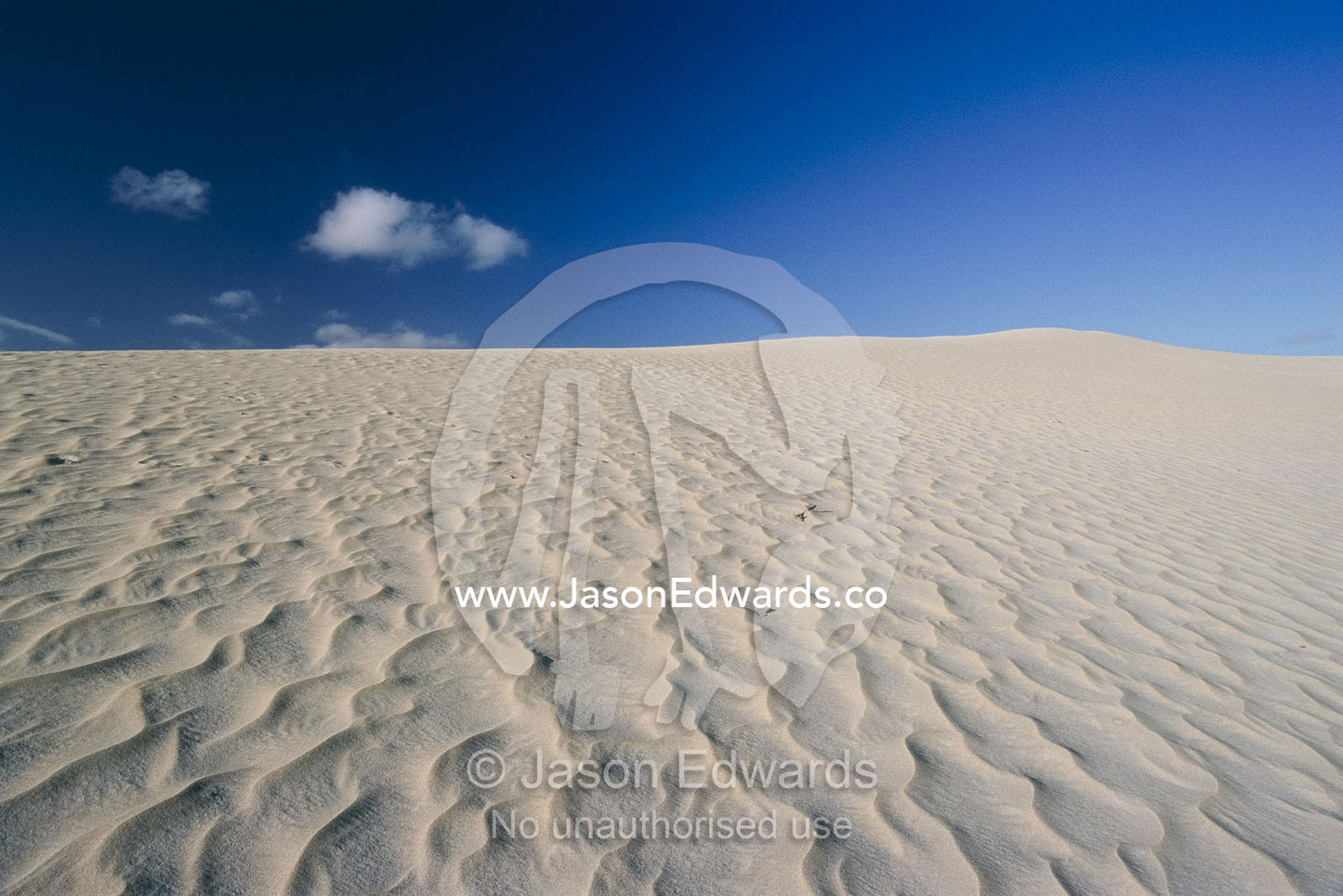 Rippled patterns on a Little Sahara Desert sand dune. Little Sahara Desert, Kangaroo Island, South Australia, Australia.