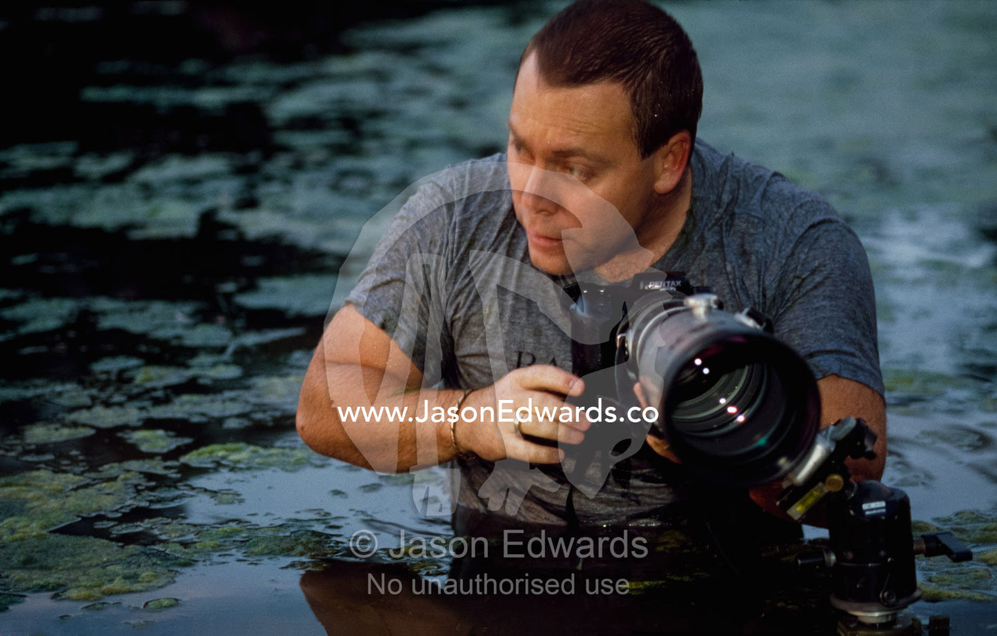 Jason Edwards photographing in wetlands. Corrandurk Wetlands, Victoria, Australia.