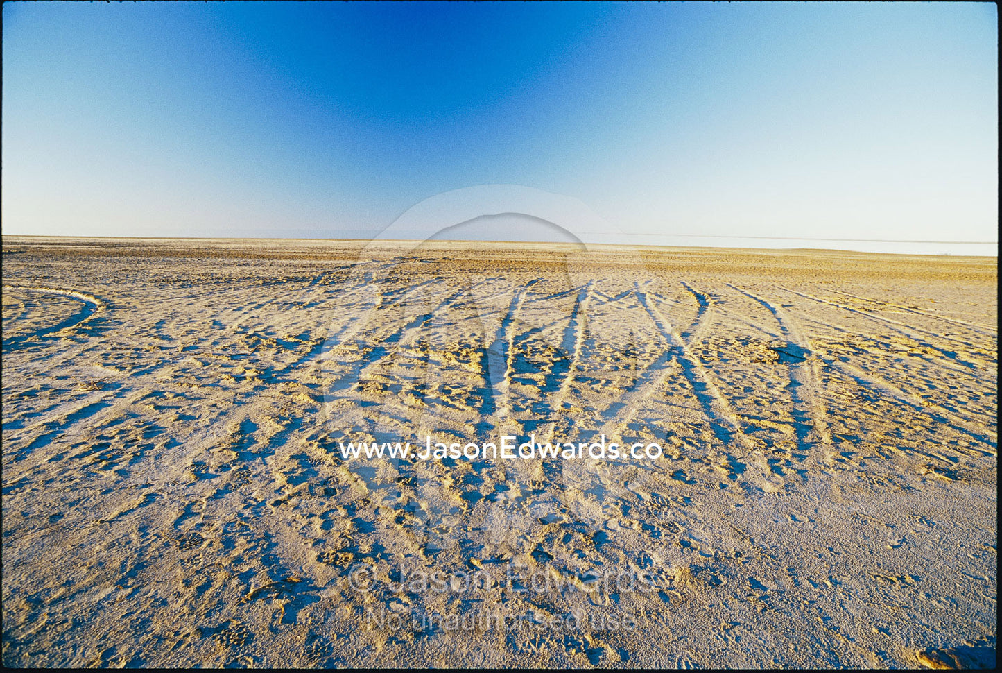 Tire tracks crisscross the shore of Lake Eyre. Lake Eyre, South Australia, Australia.