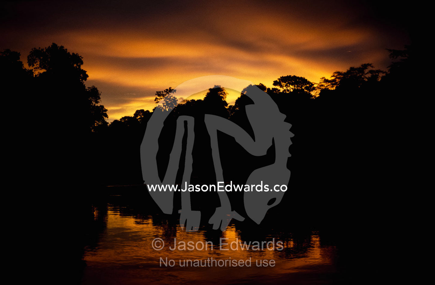 Twilight view of a stretch of the Amazon River. Amazon River, Peru.