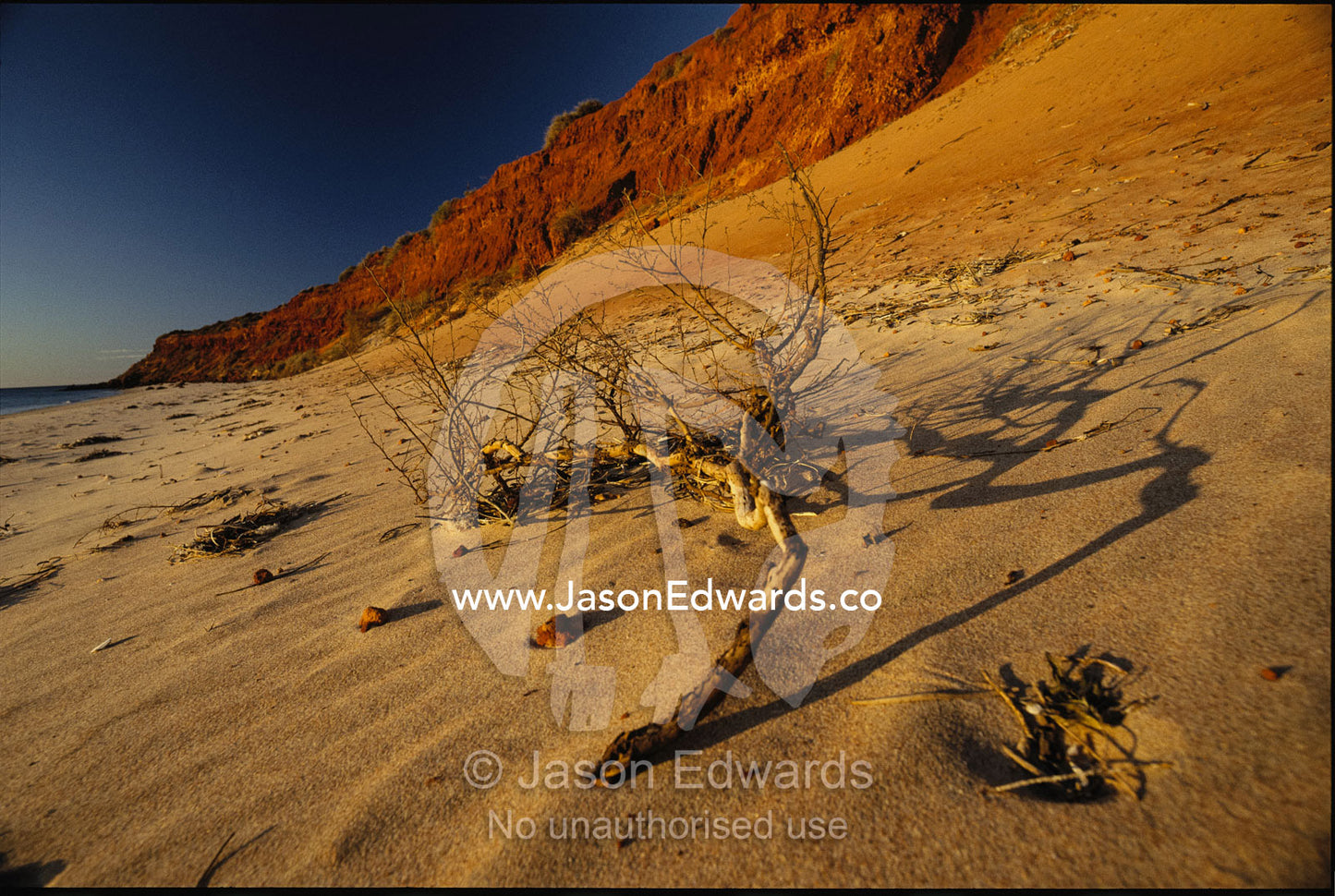 Driftwood on desert beach at sunset. Francois Peron National Park, Western Australia, Australia.