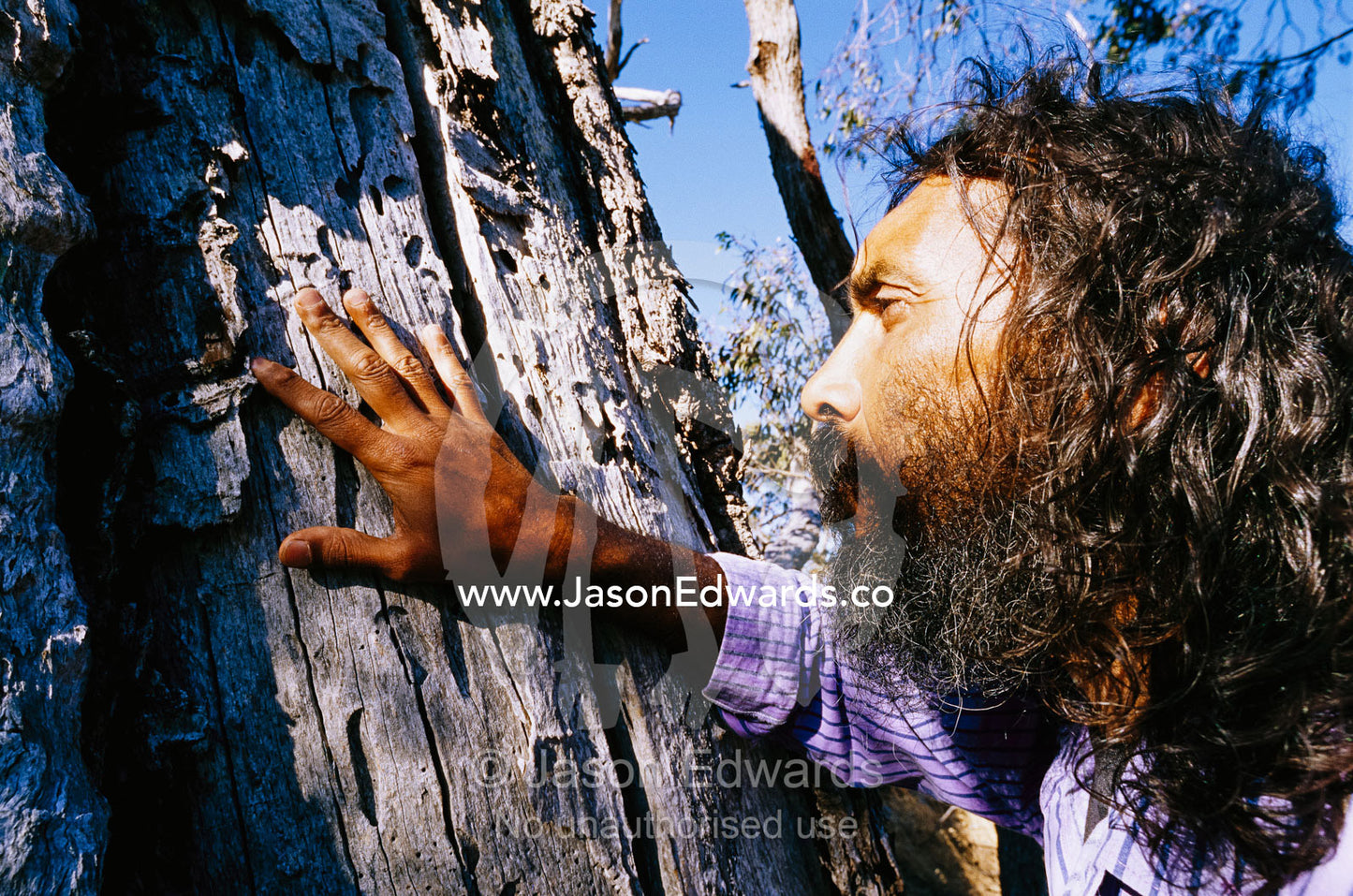 Aboriginal Dja Dja Wrung clan member Ricky Nielson at burial scar tree Kooyoora State Park, Victoria, Australia.