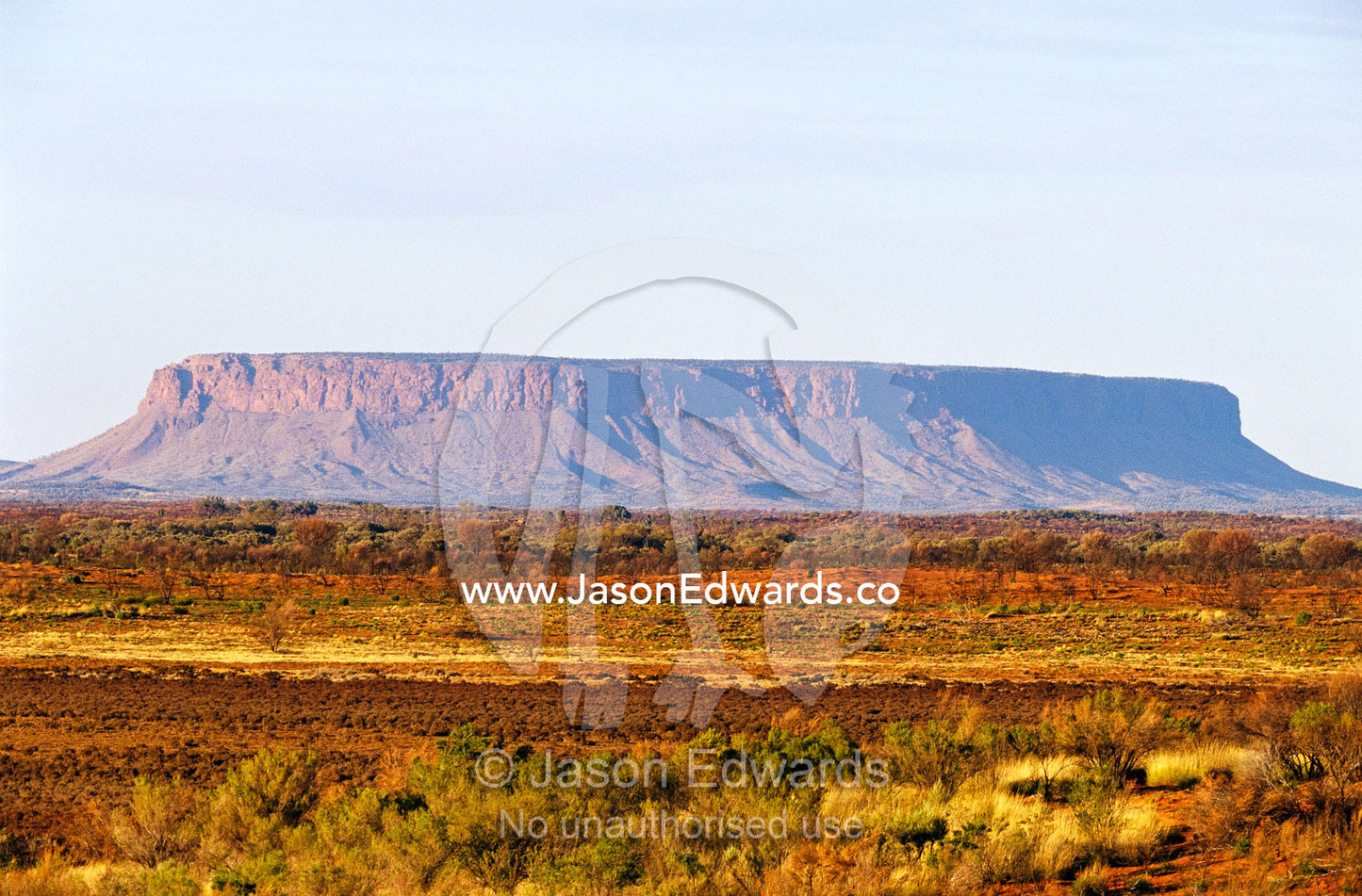 Mt. Conner at dawn across a desert plain. Mount Conner, Northern Territory, Australia.