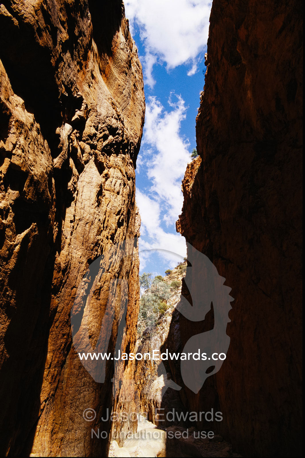 Gorge wall skyline with view to blue sky. Stanley Chasm, Northern Territory, Australia.