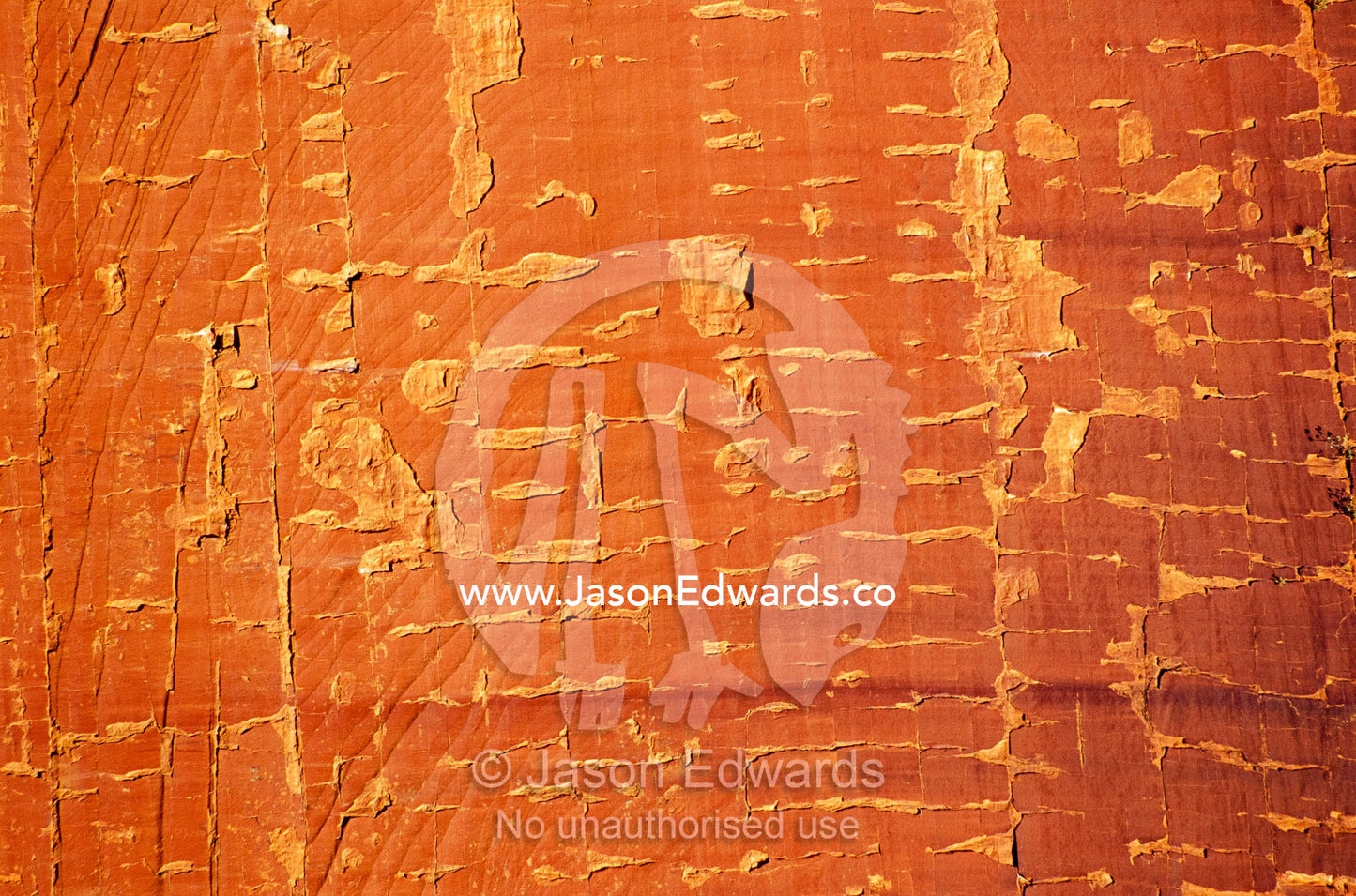 Detail of Merenie sandstone cliff wall face in Kings Canyon. Kings Canyon, Watarrka National Park, Northern Territory, Australia.