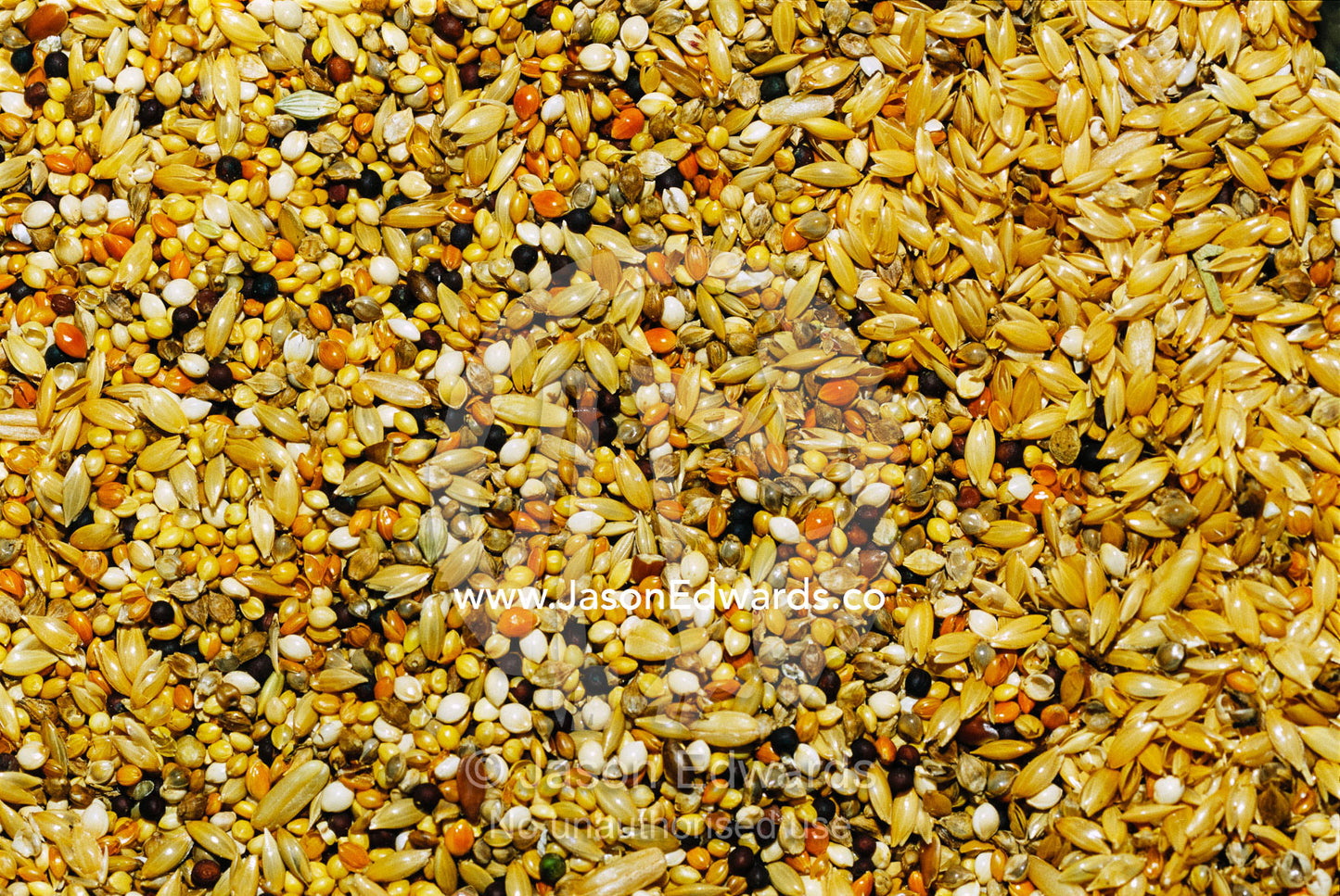 Close view of a mixture of seeds for bird feed. Berry Springs, Northern Territory, Australia.