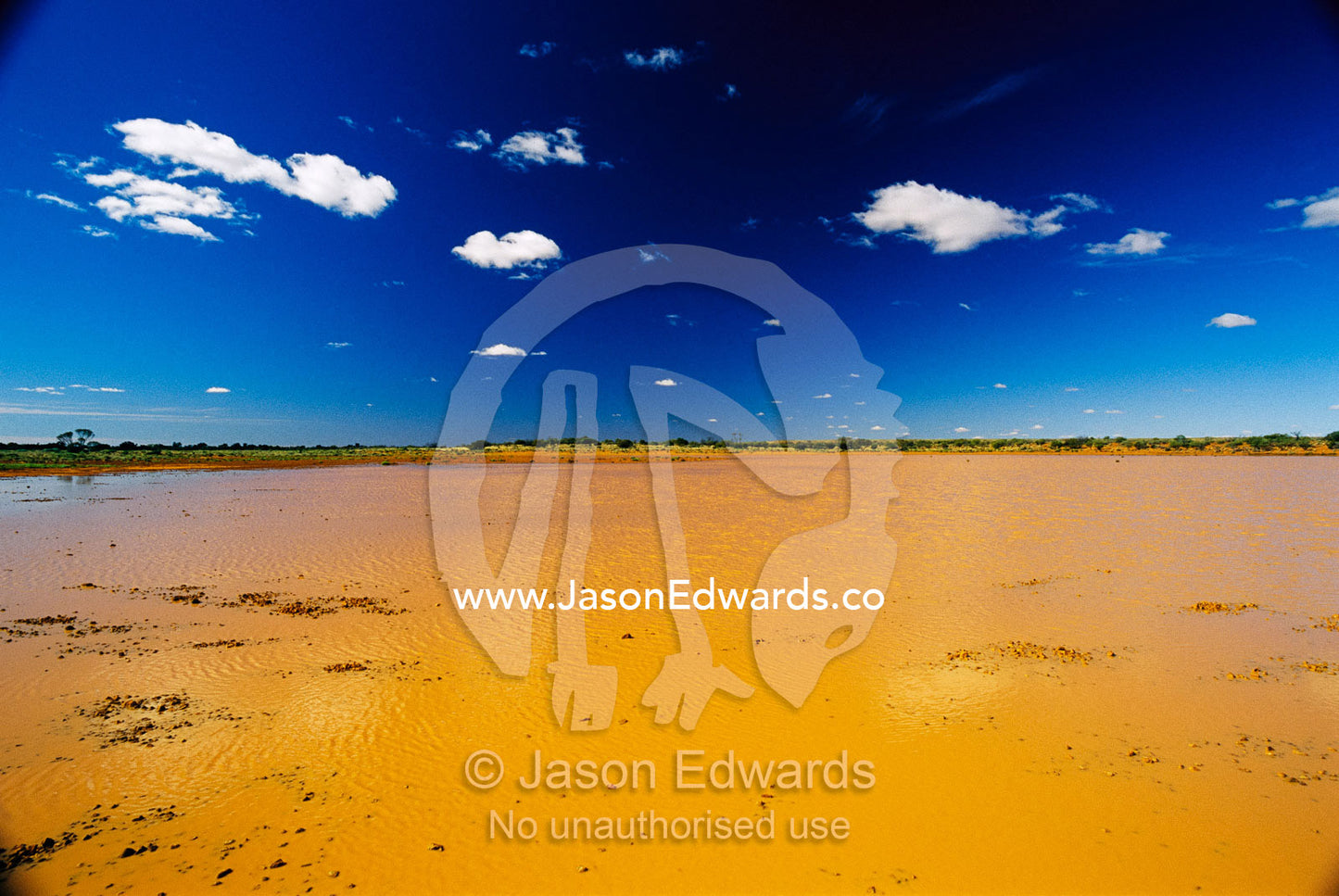 Flooded desert plain in Witjira National Park. Witjira National Park, South Australia.