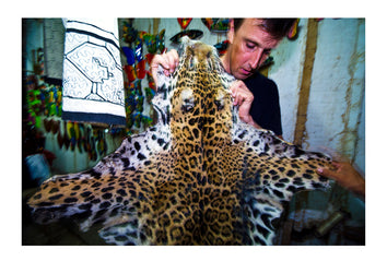 A wildlife conservationist with the coat of a Jaguar butchered by poachers and for sale. Iquitos, Amazon Basin, Loreto Region, Maynas Province, Peru.