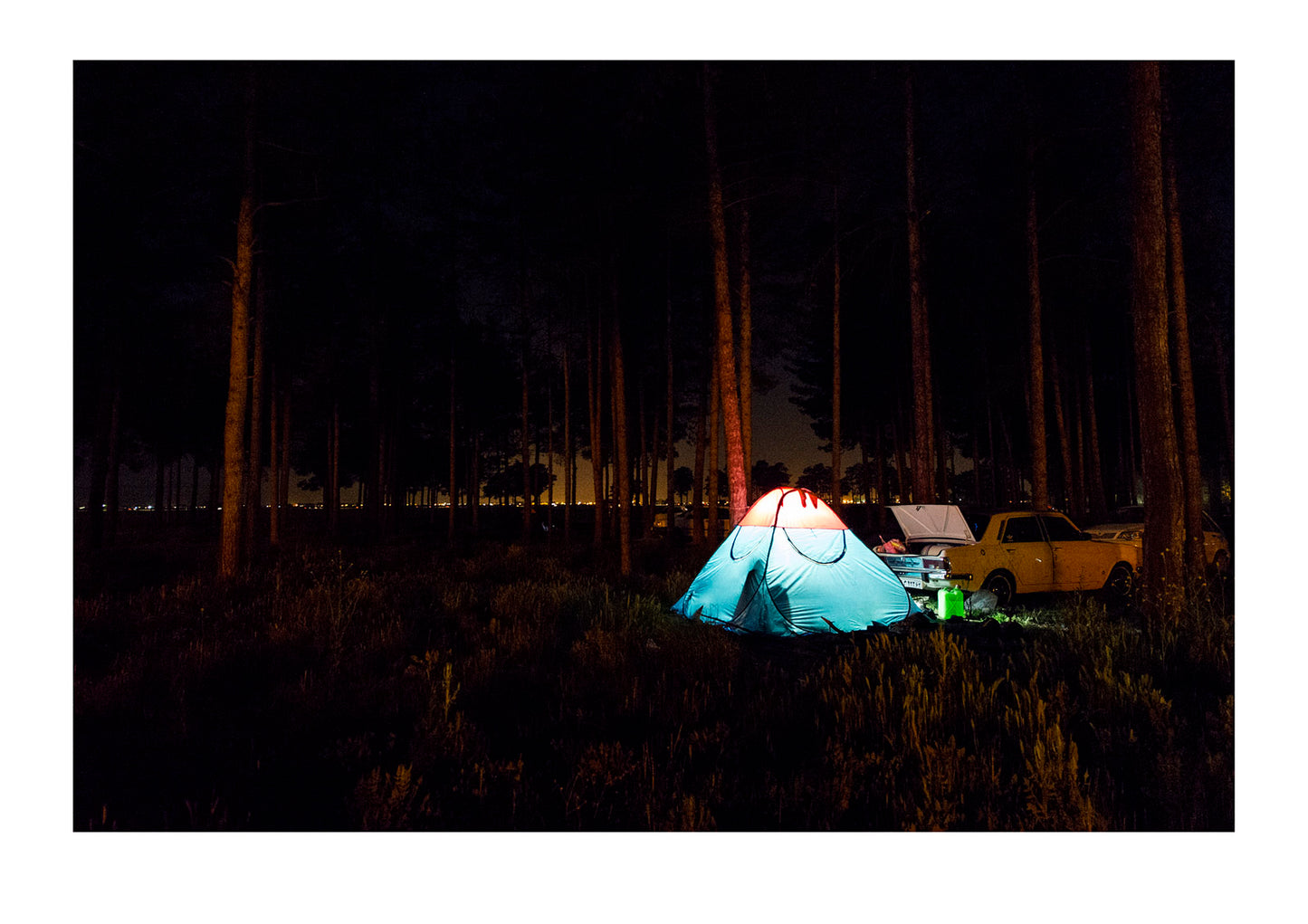 People camping among the trees near the ruins of Persepolis at Nowruz Iranian New Year. Persepolis, Shiraz, Fars Province, Islamic Republic of Iran.