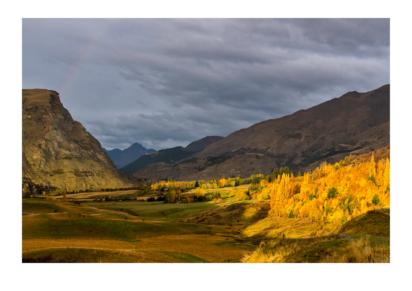 Flamboyant decidous trees in Autumn colours carpeting a hillside in the Southern Alps. Arrowtown, New Zealand.