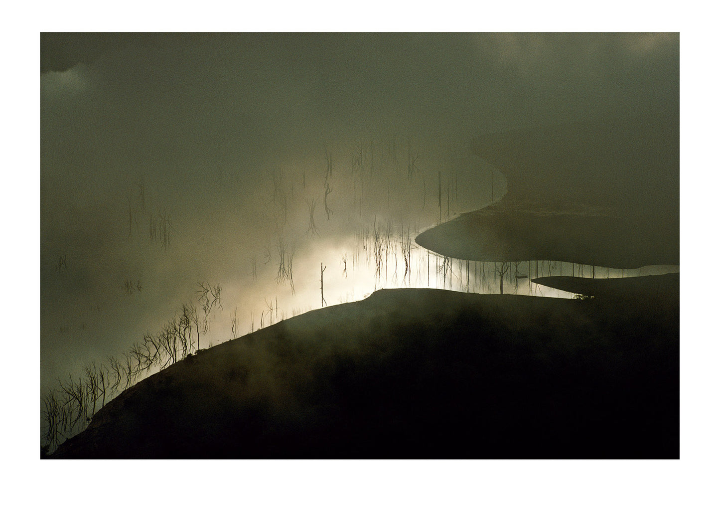 Condensation and fog rises from Lake Eildon and skeleton trees on a cold winters dawn. High country near Jamieson, Victoria, Australia.