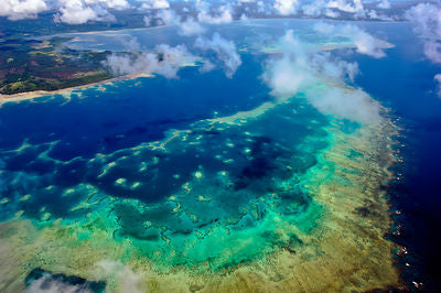 Fiji - Life on the Reef