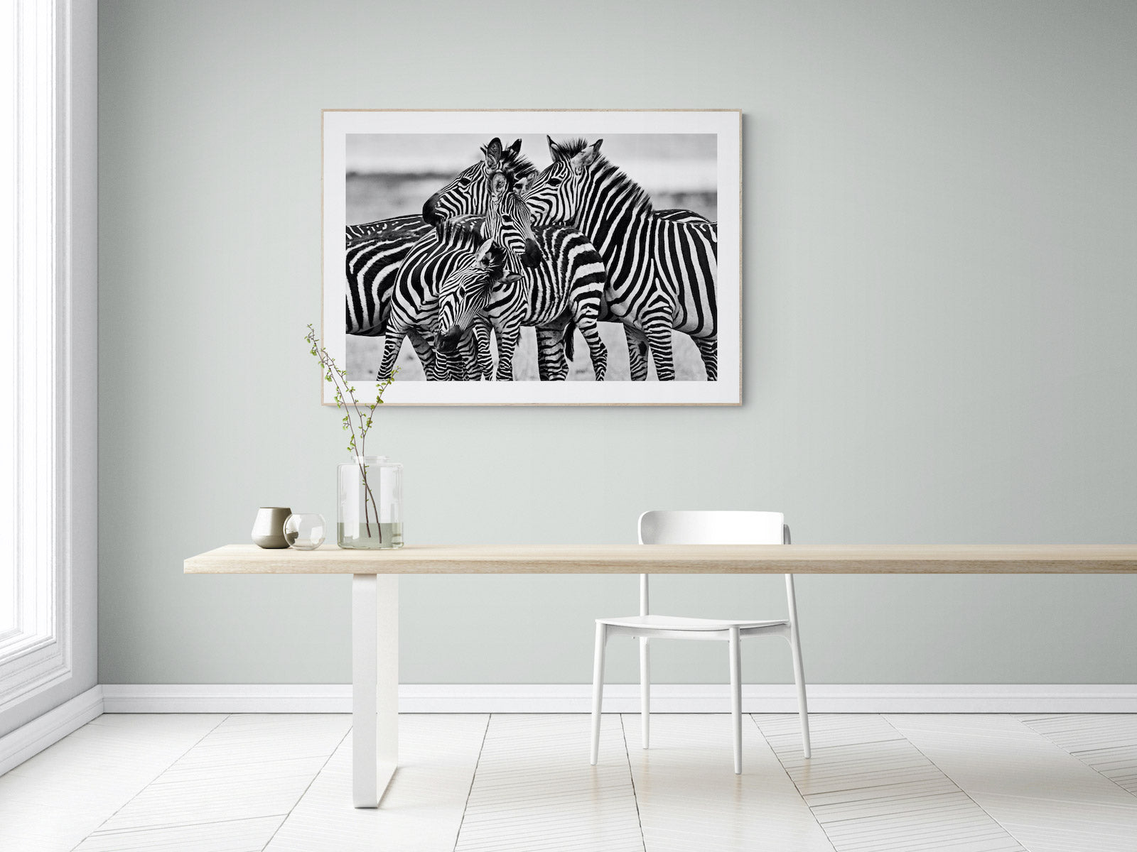 Zebra by National Geographic Photographer Jason Edwards