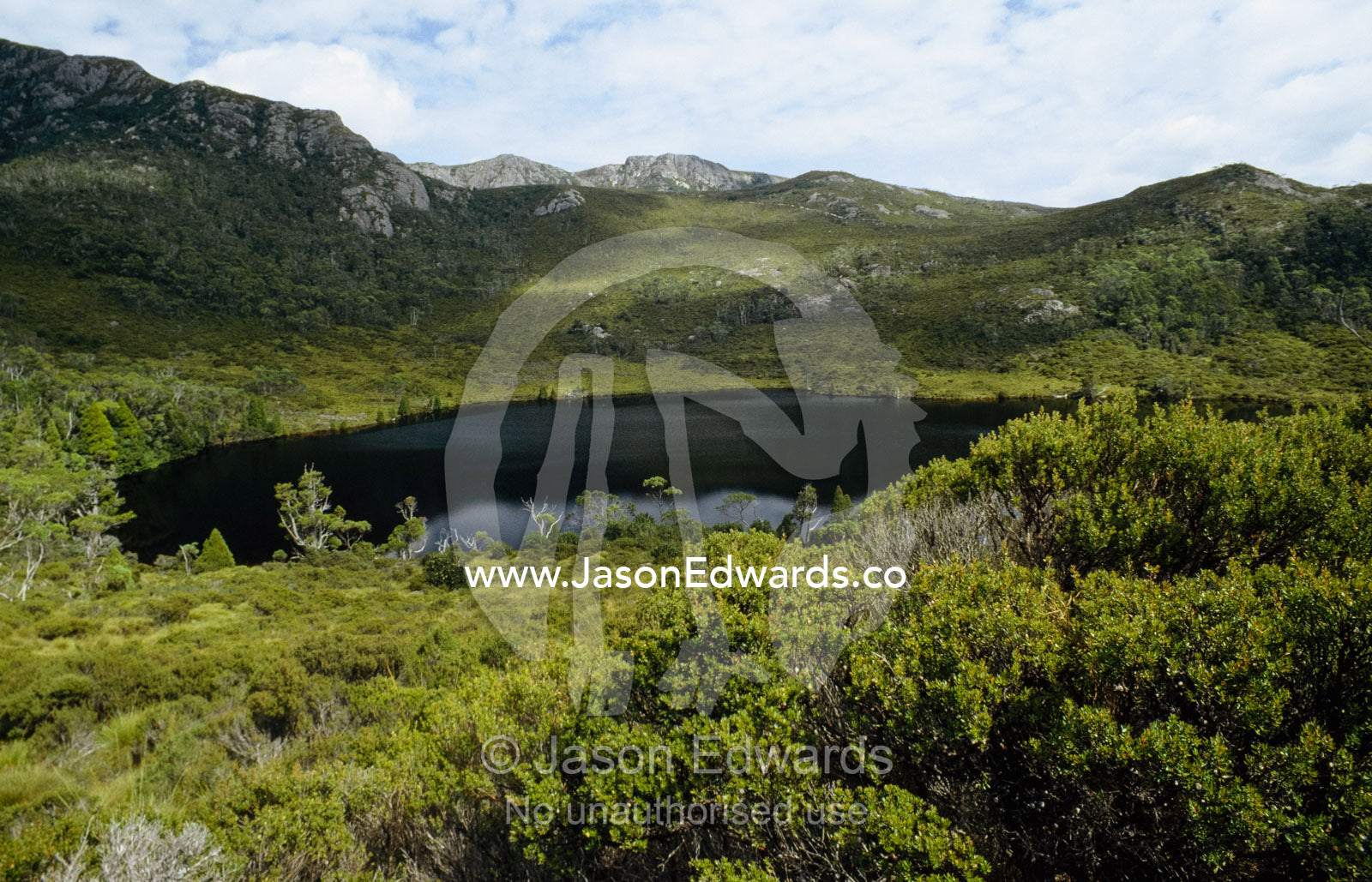 An alpine glacial lake surrounded by heathland and granite mountains. Cradle Mountain and Lake Saint Clair National Park, Tasmania, Australia.