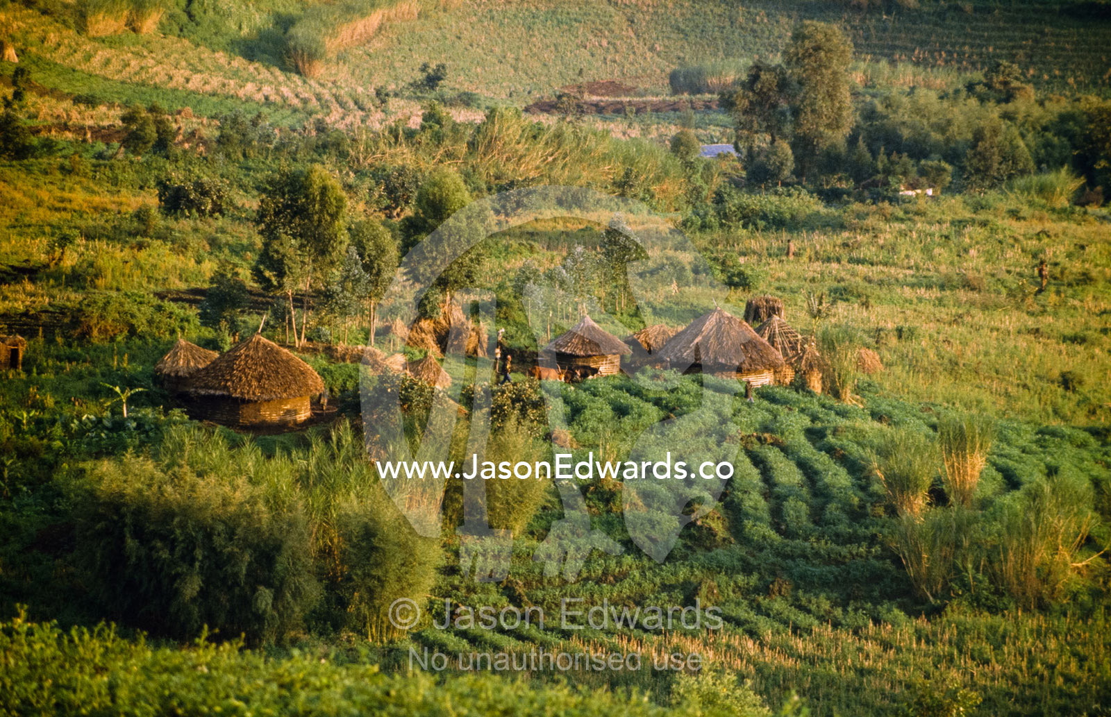 A traditional farming village and surrounding plowed fields. Zaire, Democratic Republic of the Congo, Africa.