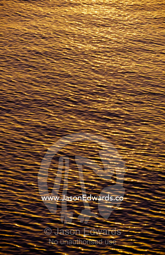 Waves ripple on a calm ocean at sunset. Merimbula, New South Wales, Australia.