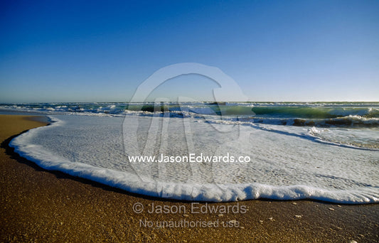 Crashing waves spread foam across a sandy beach. Coorong National Park, Younghusband Penninsula, South Australia.