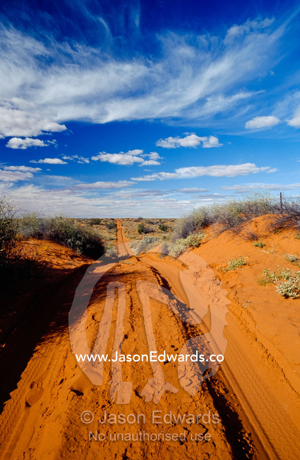 A four wheel drive vehicle track and camel footprints in a sand dune. Simpson Desert Conservation Park, South Australia.