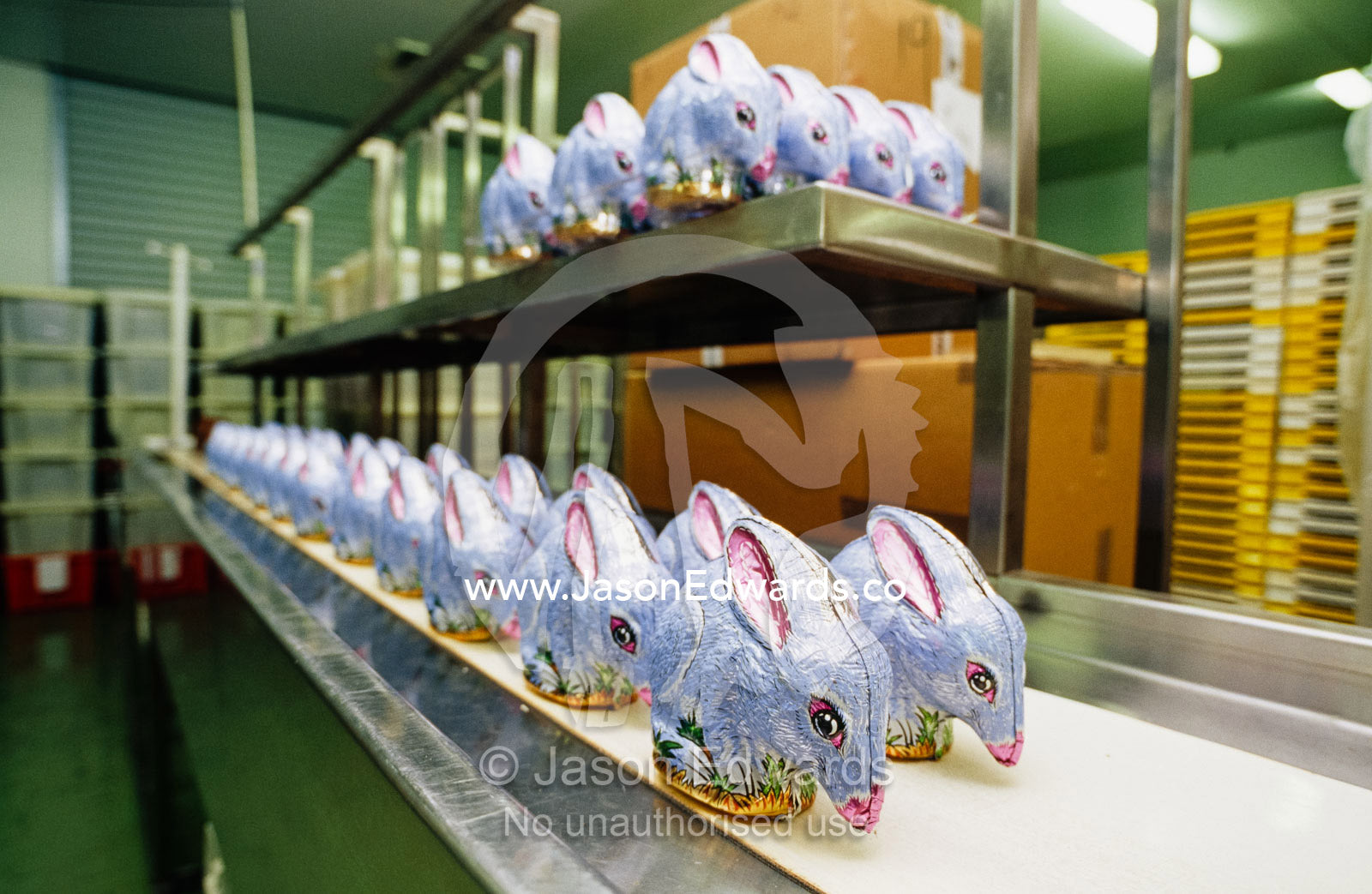 Australian chocolate Easter bilbies on a shelf at a chocolate factory. Oakley, Victoria, Australia.