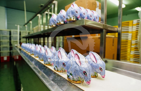 Australian chocolate Easter bilbies on a shelf at a chocolate factory. Oakley, Victoria, Australia.