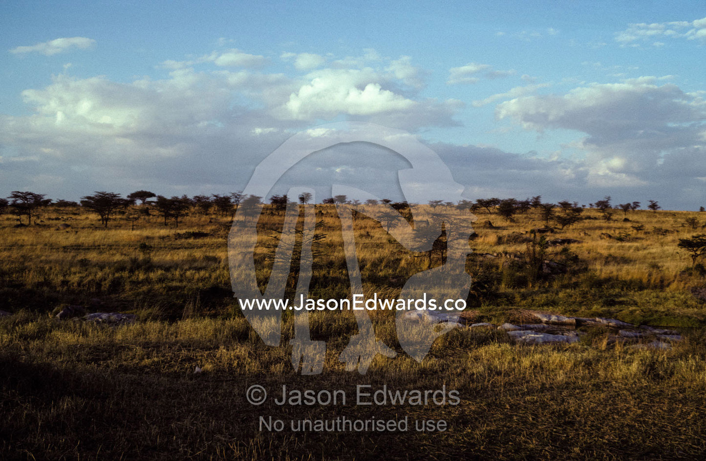 Dawn rises over the svannah grasslands of East Africa. Masai Mara National Park Kenya