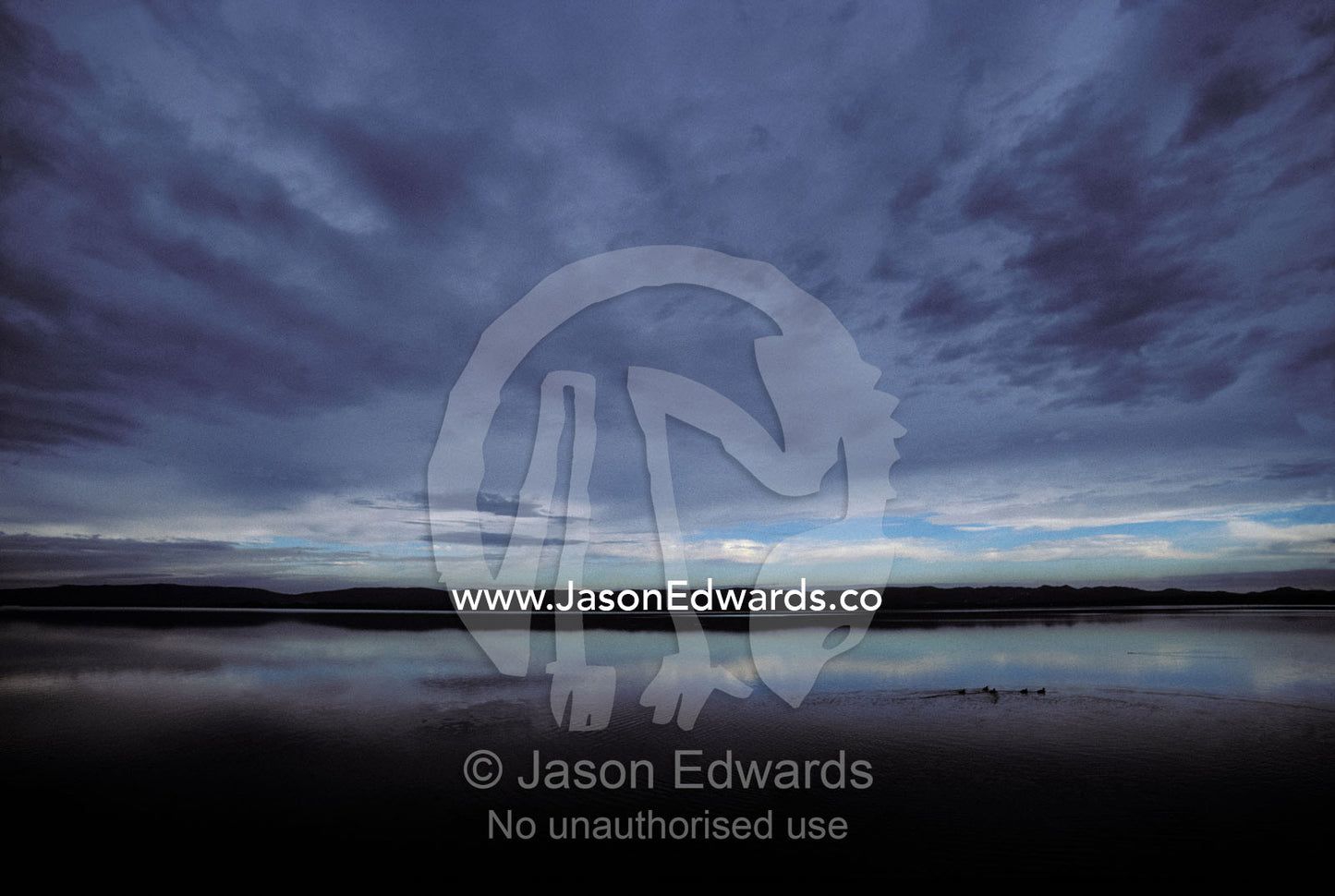 Ducks create a ripple against backdrop of storm clouds and calm ocean Princess Royal Habour, Albany, Western Australia