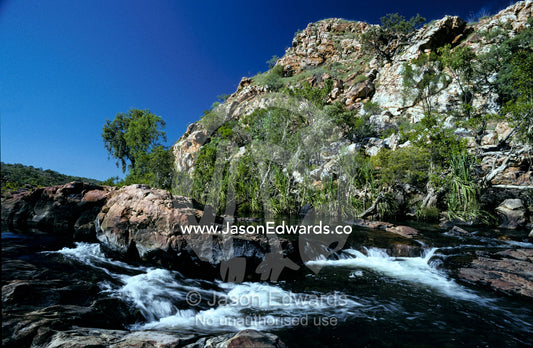 A Top End Waterfall flows through Bell Gorge past Pandani Palms. Kimberley Ranges Western Australia