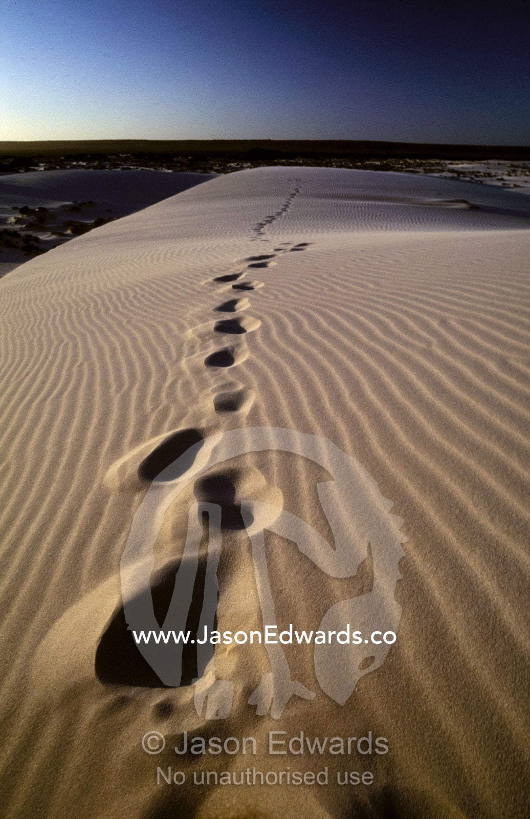 Lonely footprints rise up over a coastal sand dune crest at sunset. Eucla, Western Australia.