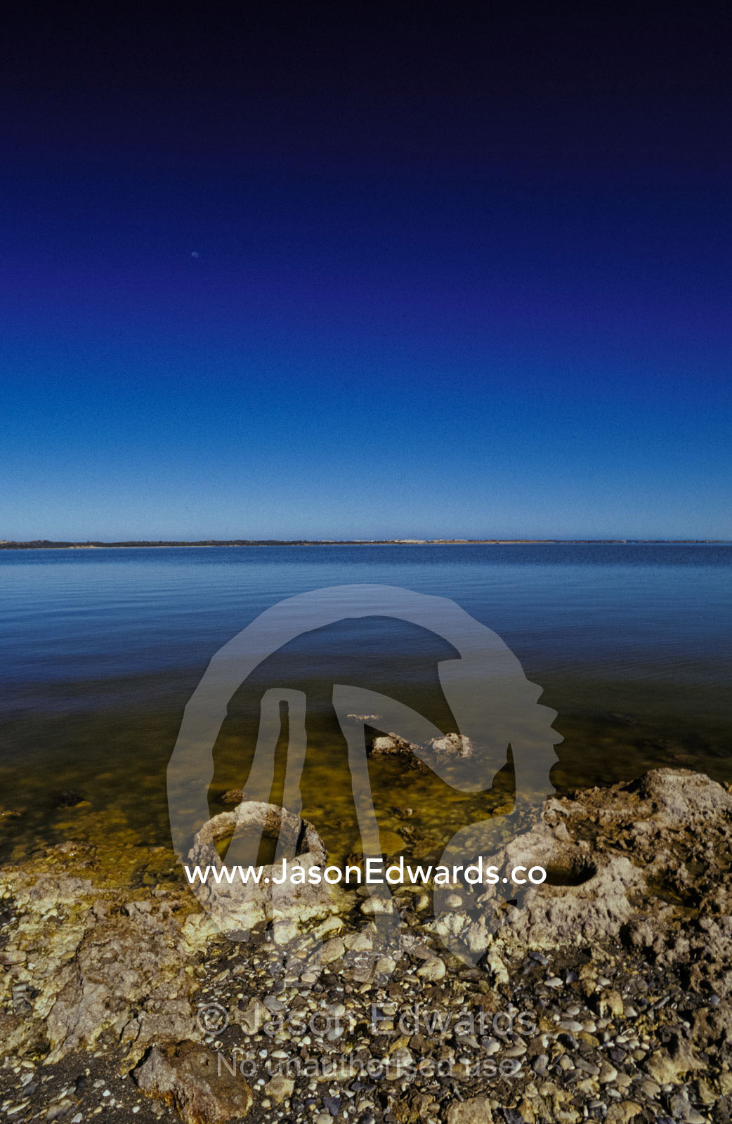 Petrified fossilised tree stumps immersed in a remote coastal lagoon. Coorong National Park, South Australia.