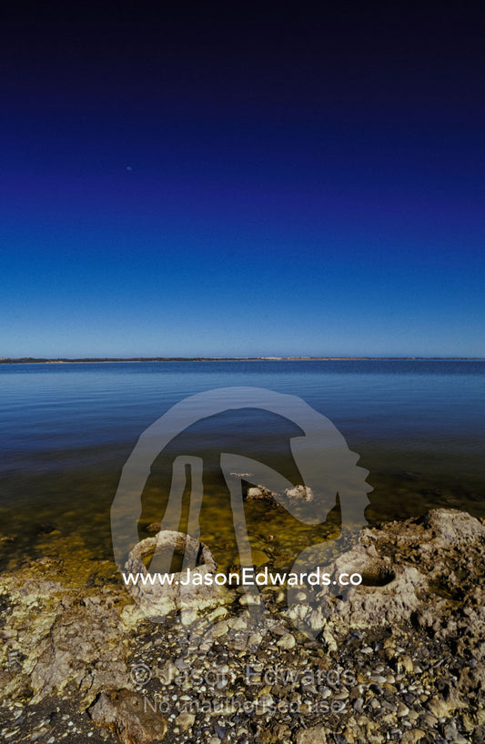 Petrified fossilised tree stumps immersed in a remote coastal lagoon. Coorong National Park, South Australia.