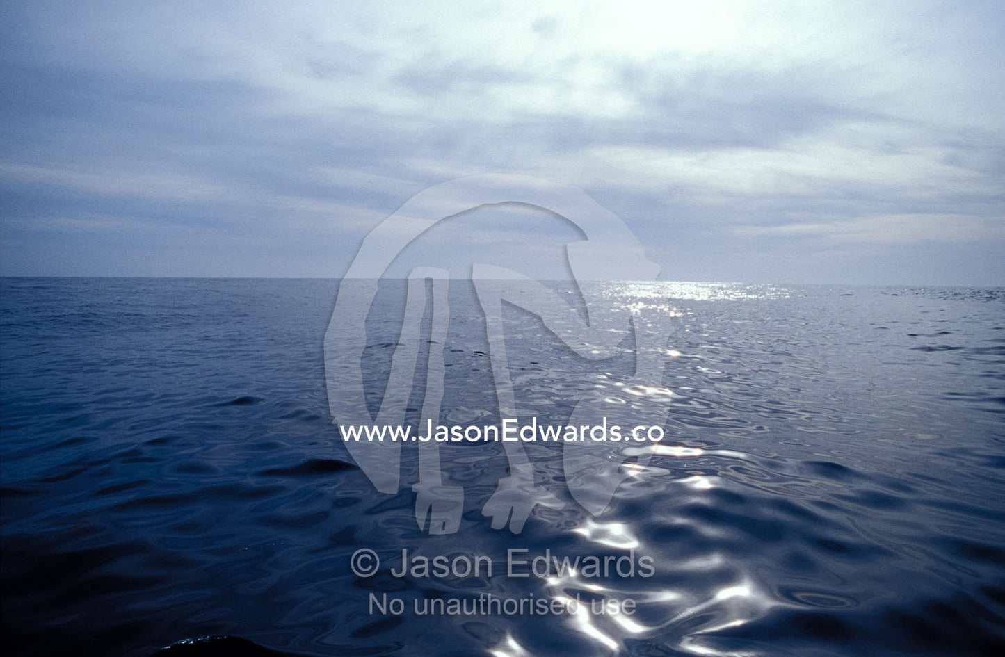 A calm ocean with small ripples reflects a sunbeam off the surface. Twofold Bay, Eden, New South Wales, Australia.
