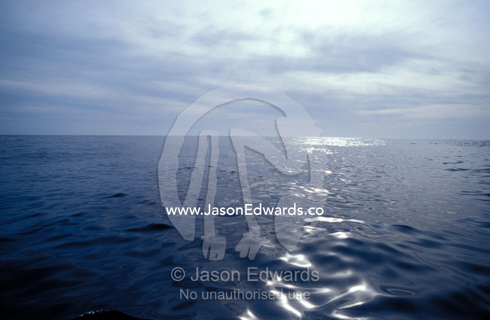 A calm ocean with small ripples reflects a sunbeam off the surface. Twofold Bay, Eden, New South Wales, Australia.