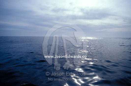 A calm ocean with small ripples reflects a sunbeam off the surface. Twofold Bay, Eden, New South Wales, Australia.