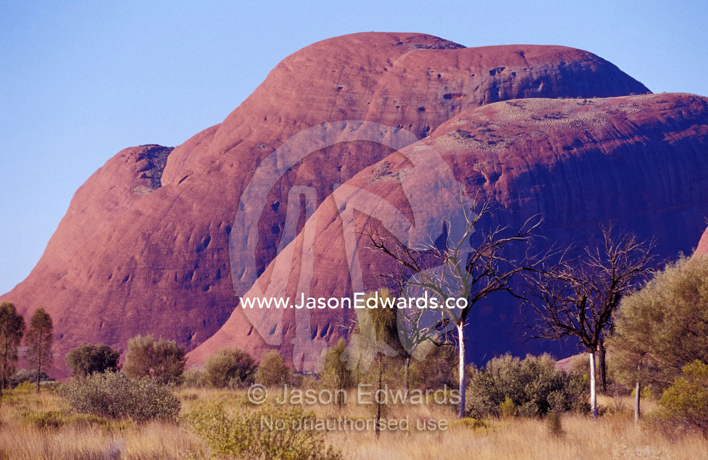 The red, oxidised sandstone rock domes of Kata Tjuta, the Three Olgas. Uluru Kata Tjuta National Park, Northern Territory, Australia.