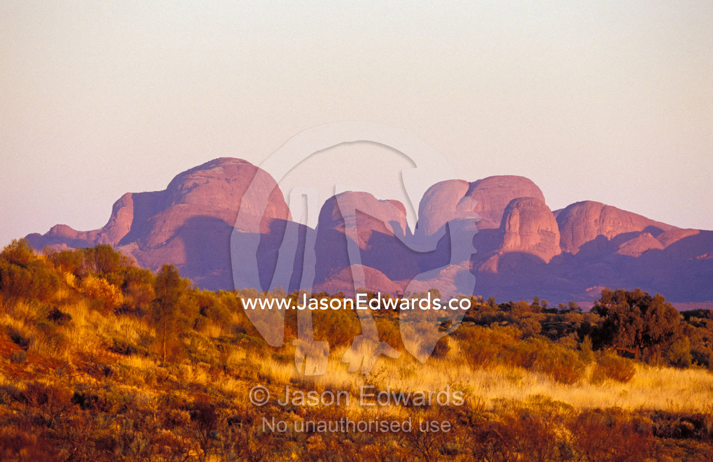 The red sandstone domes of Kata Tjuta, the Three Olgas, at dawn. Uluru Kata Tjuta National Park, Northern Territory, Australia.