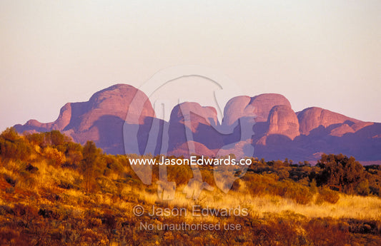 The red sandstone domes of Kata Tjuta, the Three Olgas, at dawn. Uluru Kata Tjuta National Park, Northern Territory, Australia.