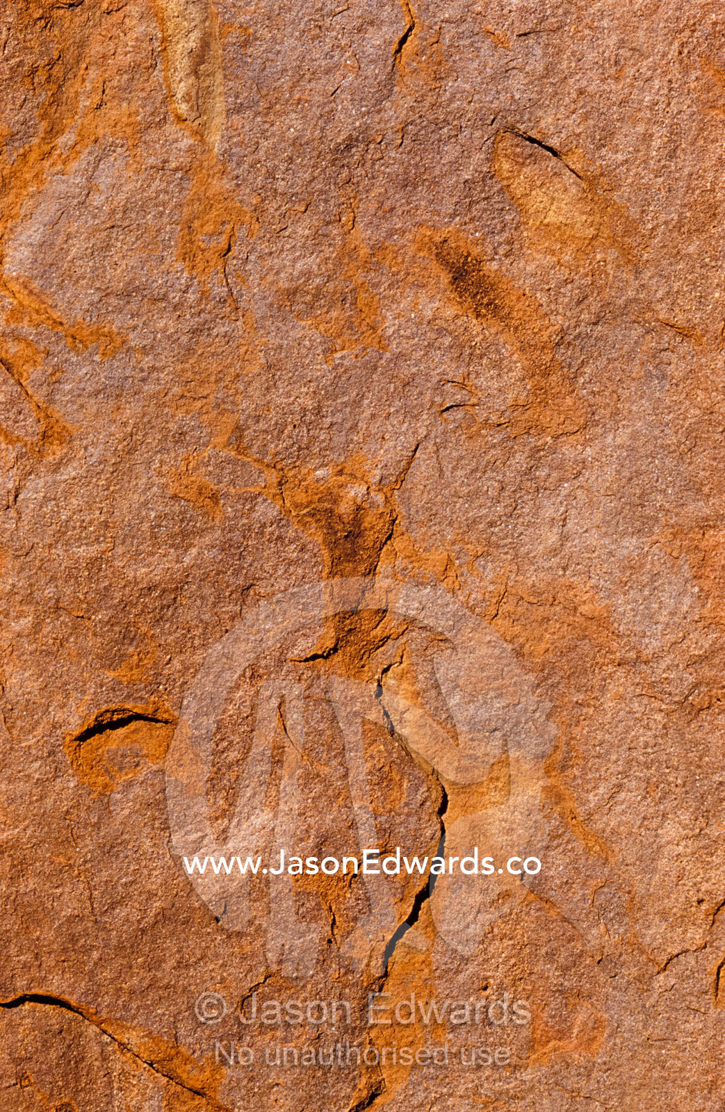 Detail of the oxidised rust sandstone surface of Ayres Rock aka Uluru. Uluru Kata Tjuta National Park, Northern Territory, Australia.
