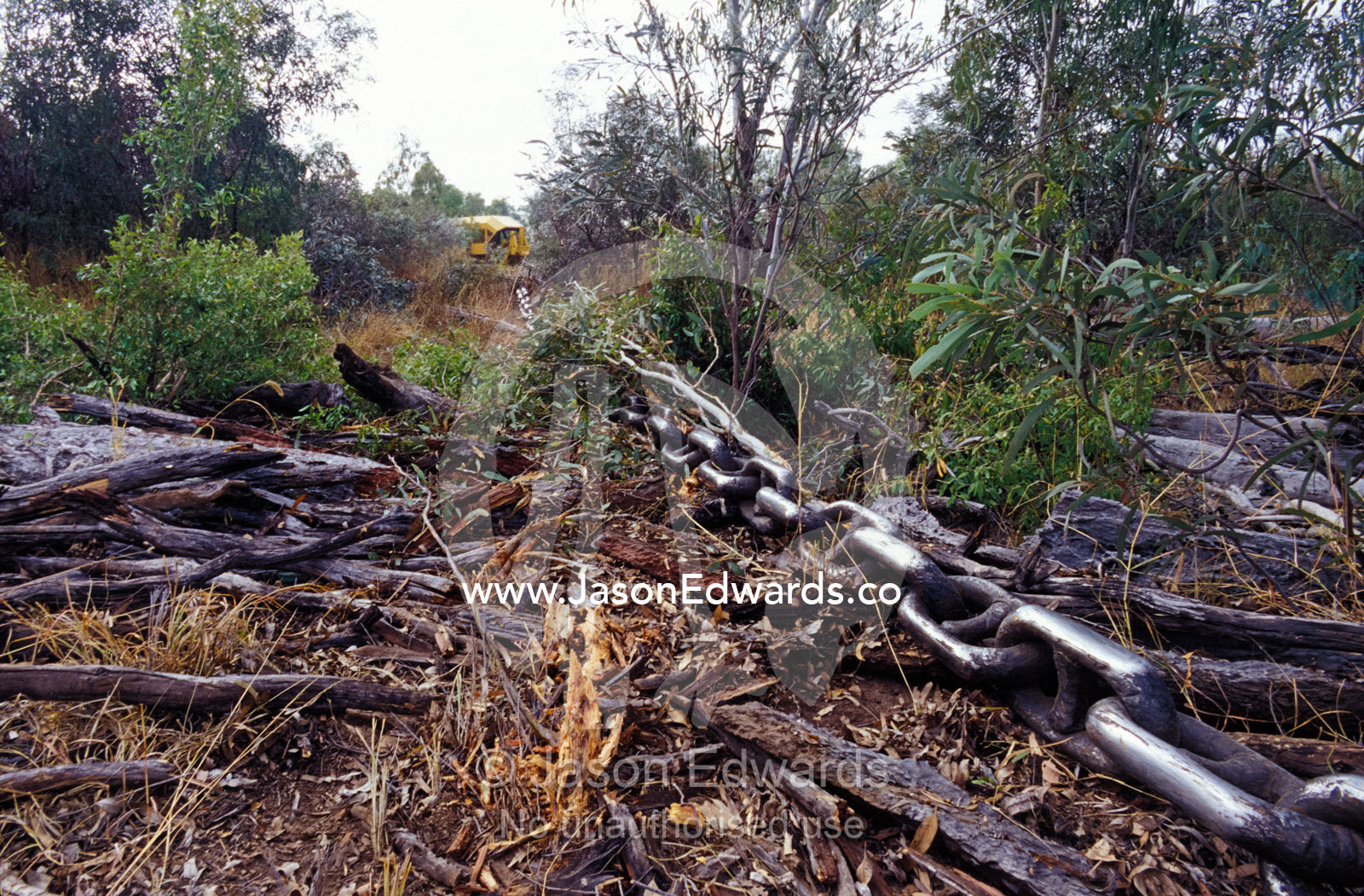 A steel chain landclears trees and foliage for agricultural farmland. Epping Forest Station, Queensland, Australia.