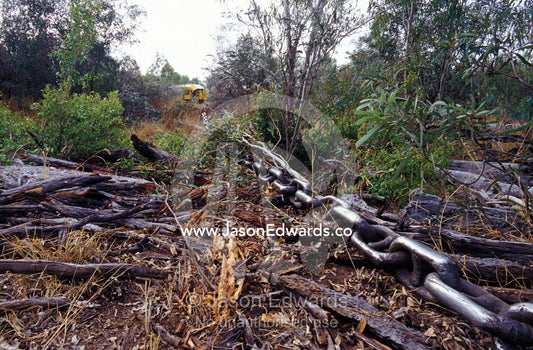 A steel chain landclears trees and foliage for agricultural farmland. Epping Forest Station, Queensland, Australia.