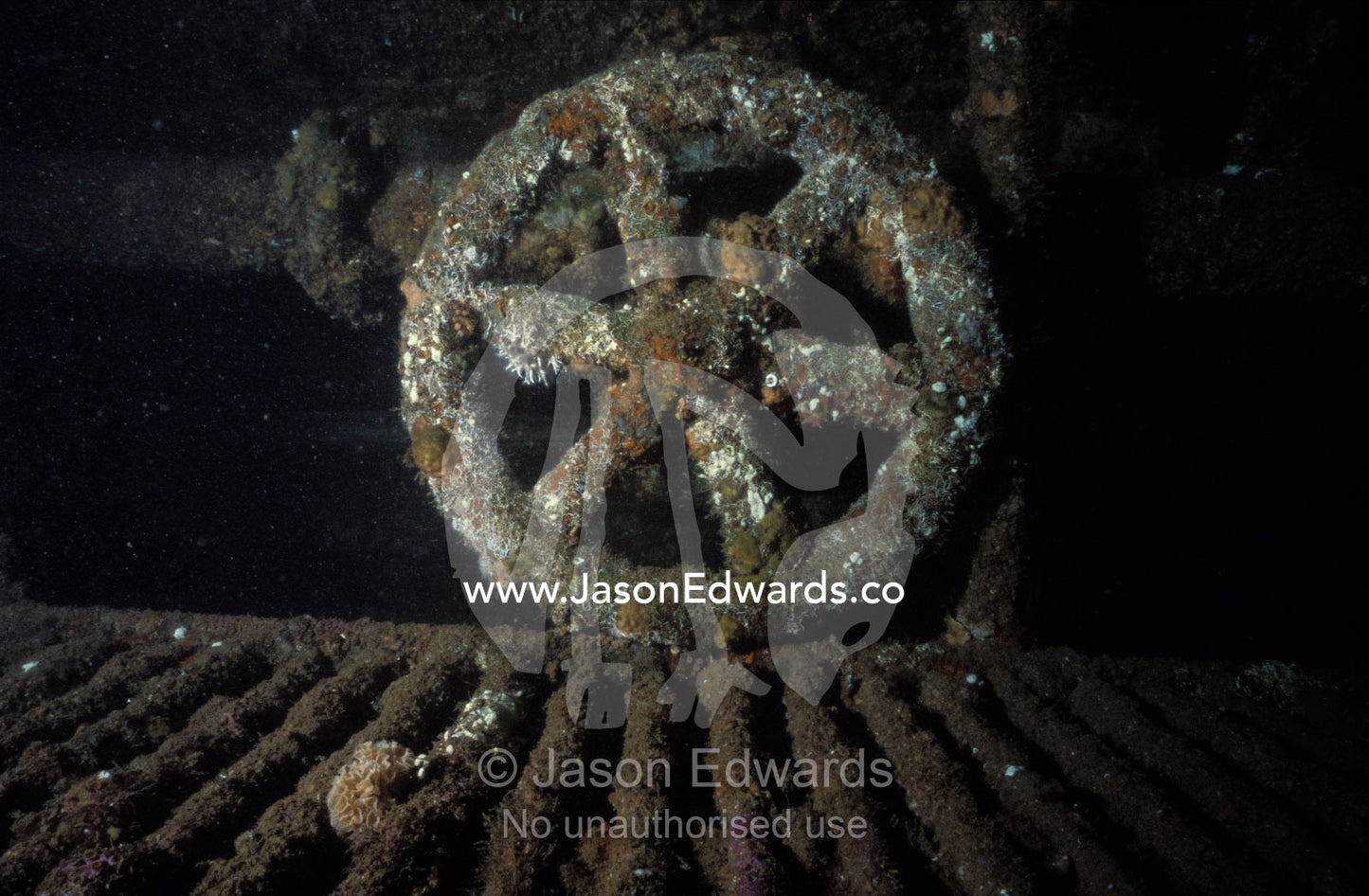 Engine room valve wheel of the shipwrecked barnacled Tasman Hauler. Twofold Bay, Eden, New South Wales, Australia.