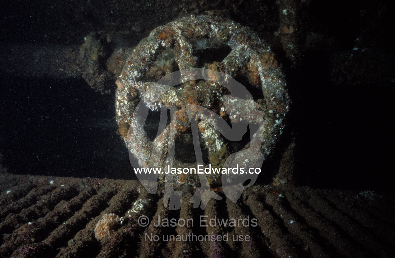 Engine room valve wheel of the shipwrecked barnacled Tasman Hauler. Twofold Bay, Eden, New South Wales, Australia.
