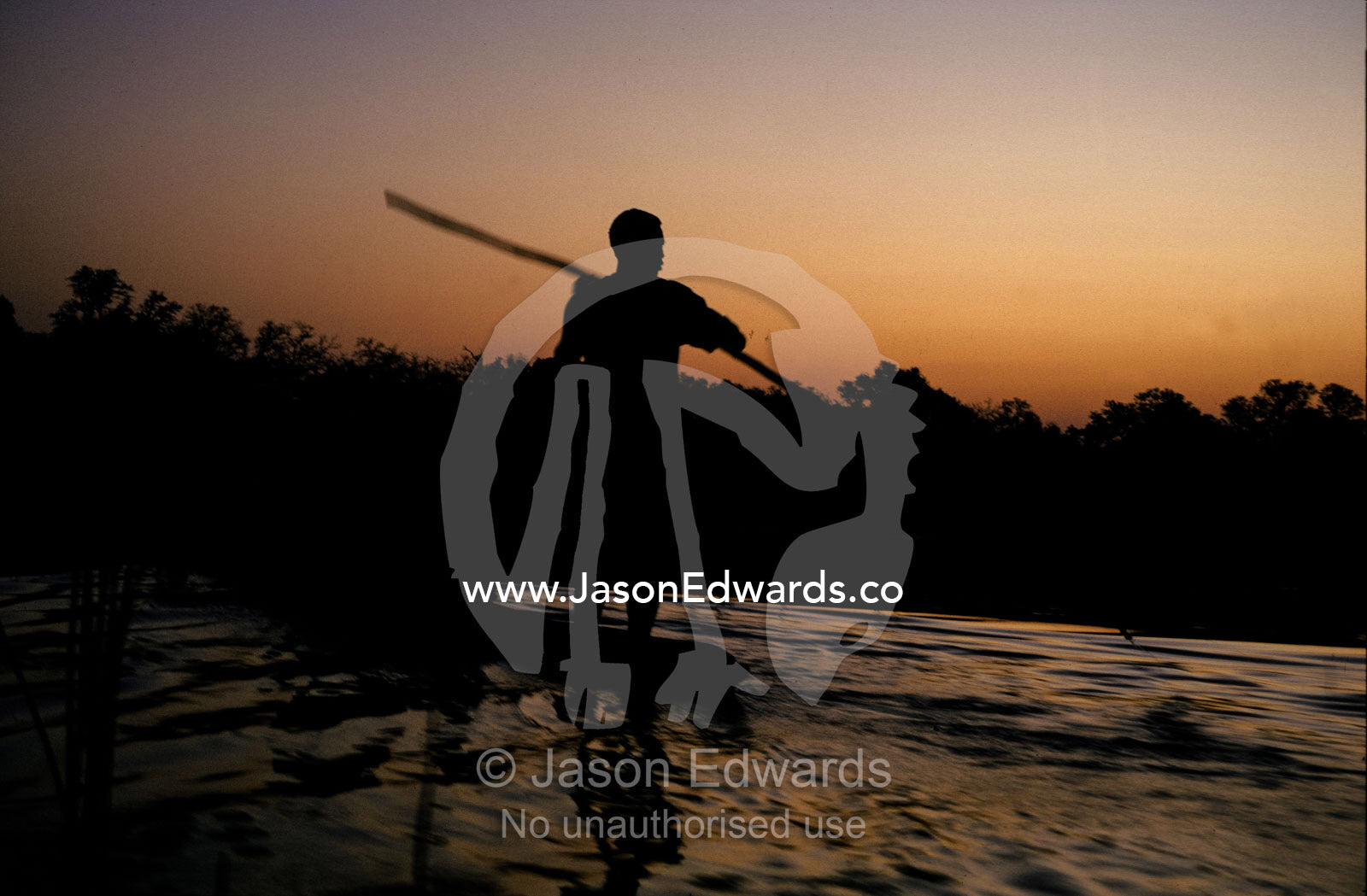 A village tribesman poles a mekoro through a wetland swamp at sunset. Okavango Delta Botswana.