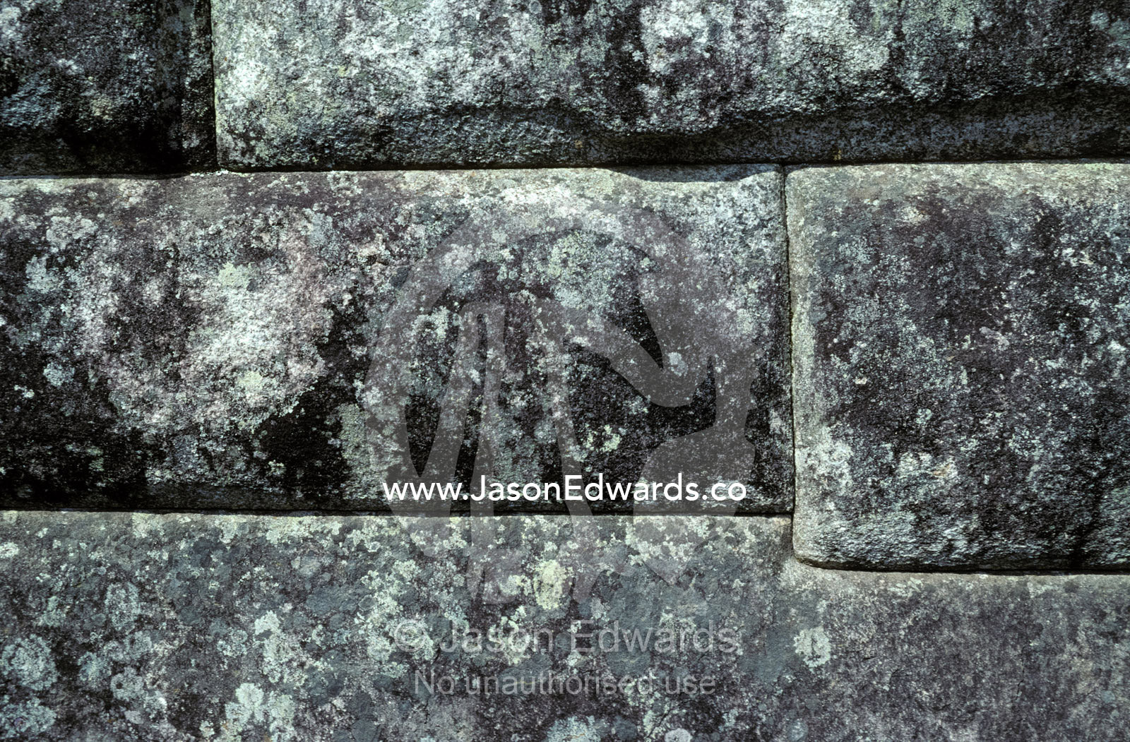 Lichen growing on the ancient granite walls of Machu Picchu Inca ruins Machu Picchu, Peru.