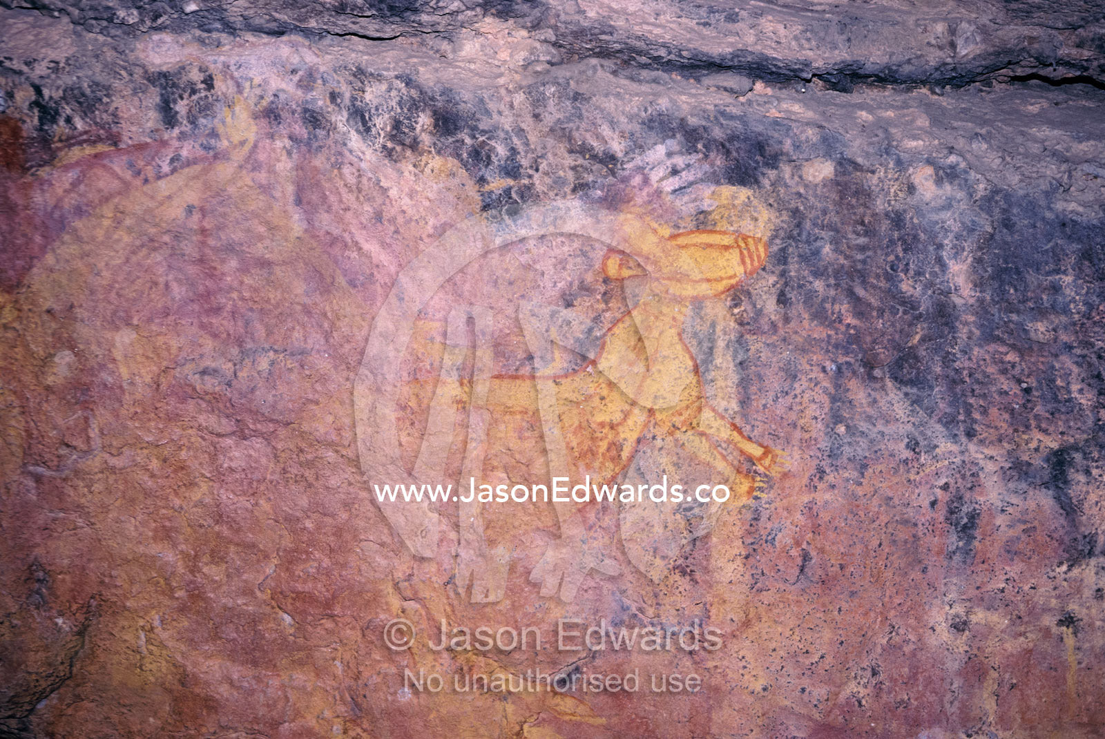 Ancient Aboriginal Rock Art paintings of Wallaby and Kangaroo. Kakadu National Park, Northern Territory, Australia.