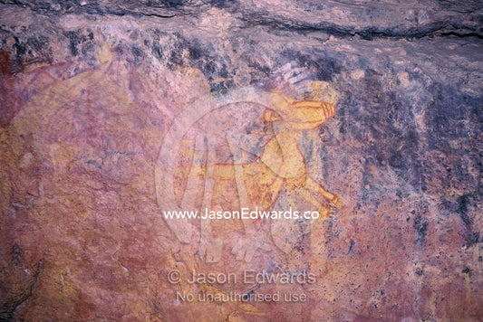 Ancient Aboriginal Rock Art paintings of Wallaby and Kangaroo. Kakadu National Park, Northern Territory, Australia.