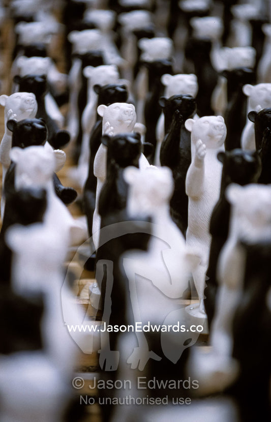 Black and white plastic bears form a public art display in Berlin. Berlin, Brandenburg, Germany.