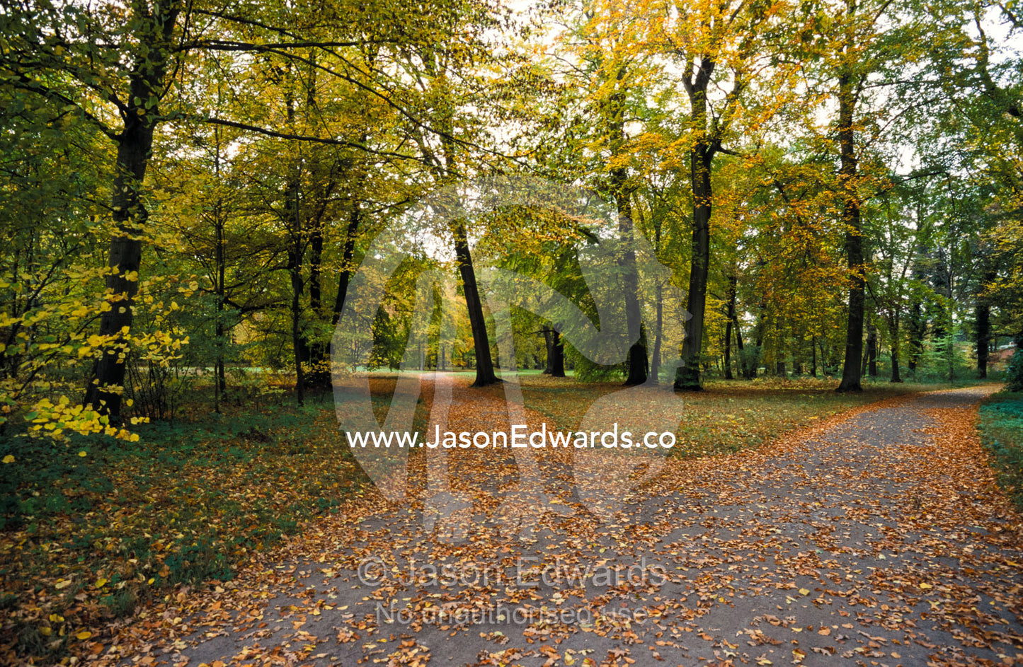 Fallen Autumn leaves on a path in the Sans Souci Park Palace gardens. Potsdam, Sans Souci Park, Brandenburg, Germany.