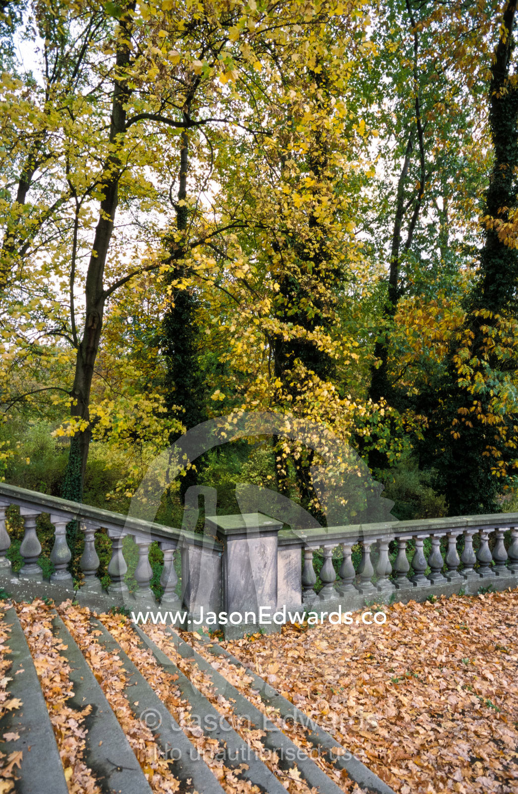 Fallen Autumn leaves on a stair in the Sans Souci Park Palace gardens. Sans Souci Park, Potsdam, Brandenburg, Germany.