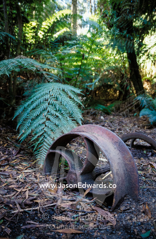 A rusting tree logging carriage wheel abandoned in the forest. Cape Otway National Park, Victoria, Australia.
